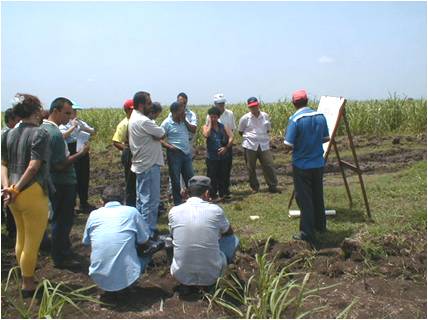 Asesoría agrícola
