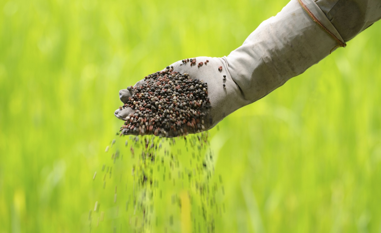 Agrobiológicos Agricola del Rey