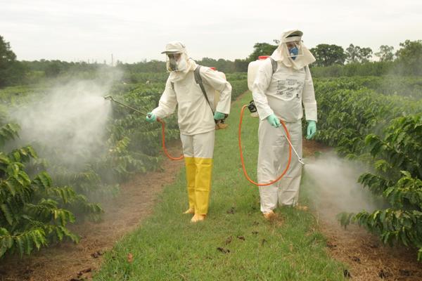 Biofungicidas Agricola del Rey Biofungicidas Agricola del Rey